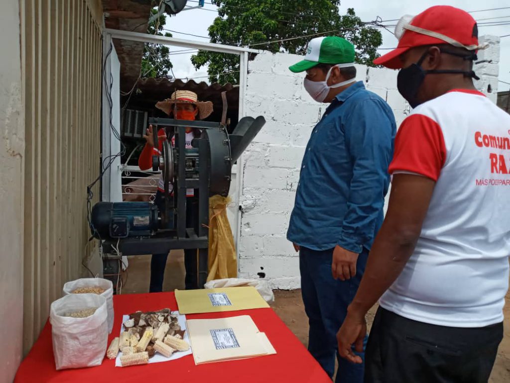 Producción porcina de Clap en parroquia Dalla Costa ﻿