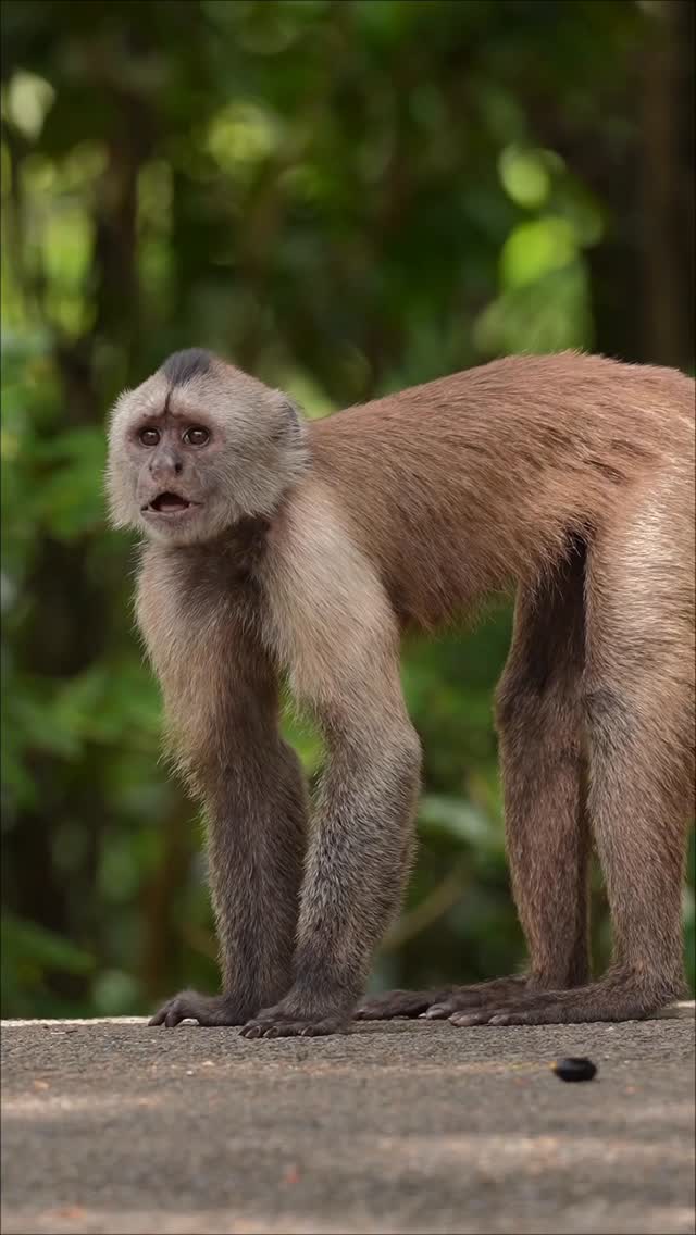 En Caroní hemos diseñado una agenda para que vivas una Semana Santa inolvidable.

Deporte, recreac...