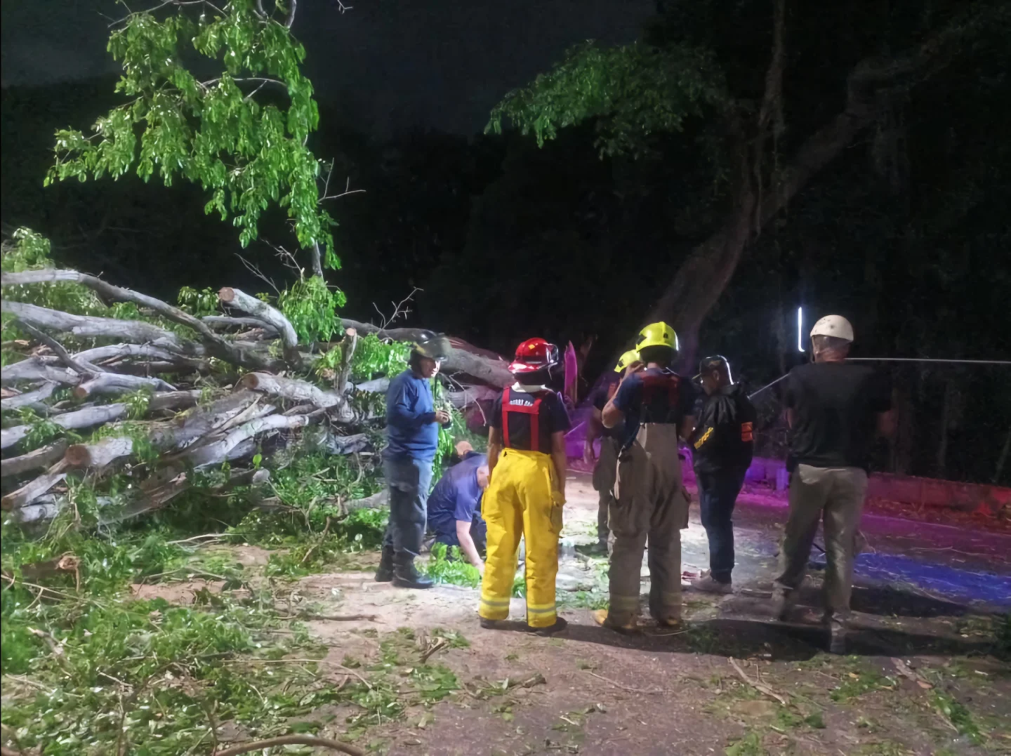 Informamos a la colectividad que nuestro equipo de Seguridad Ciudadana, Protección Civil y Bomberos...