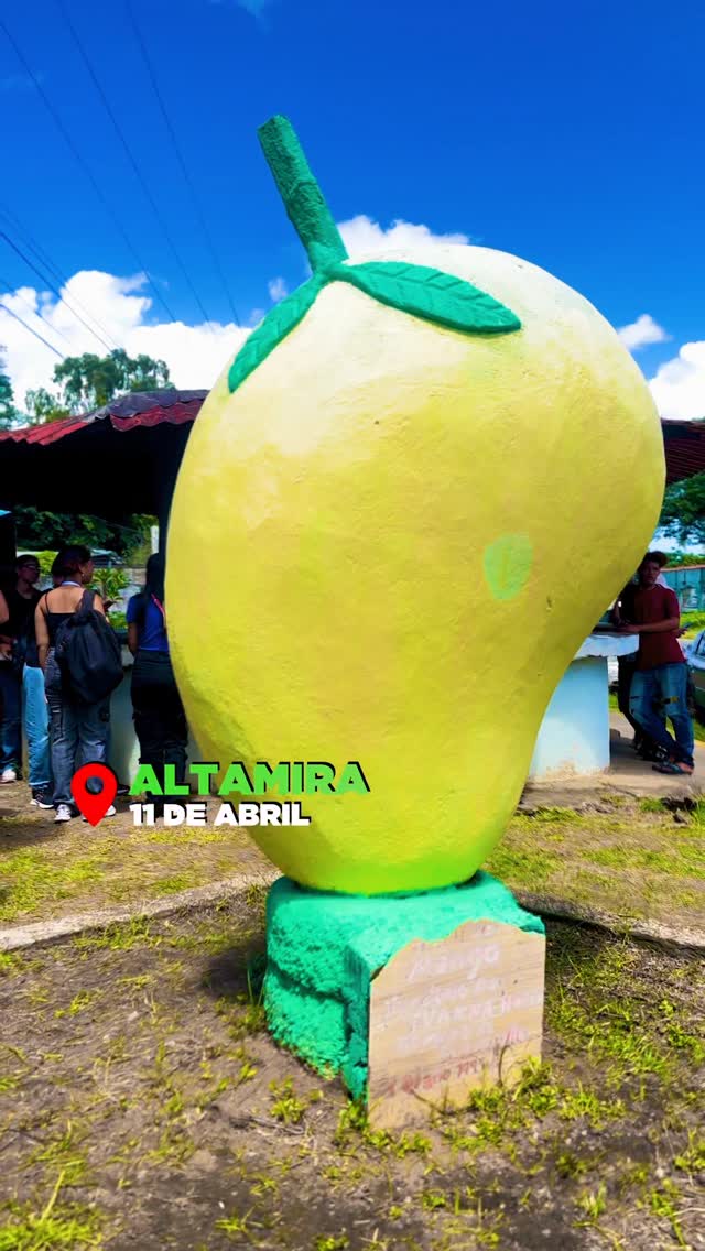 ​¡El sabor que nos une!

​En Caroní, el mango no es solo una fruta; es parte de nuestra identi...